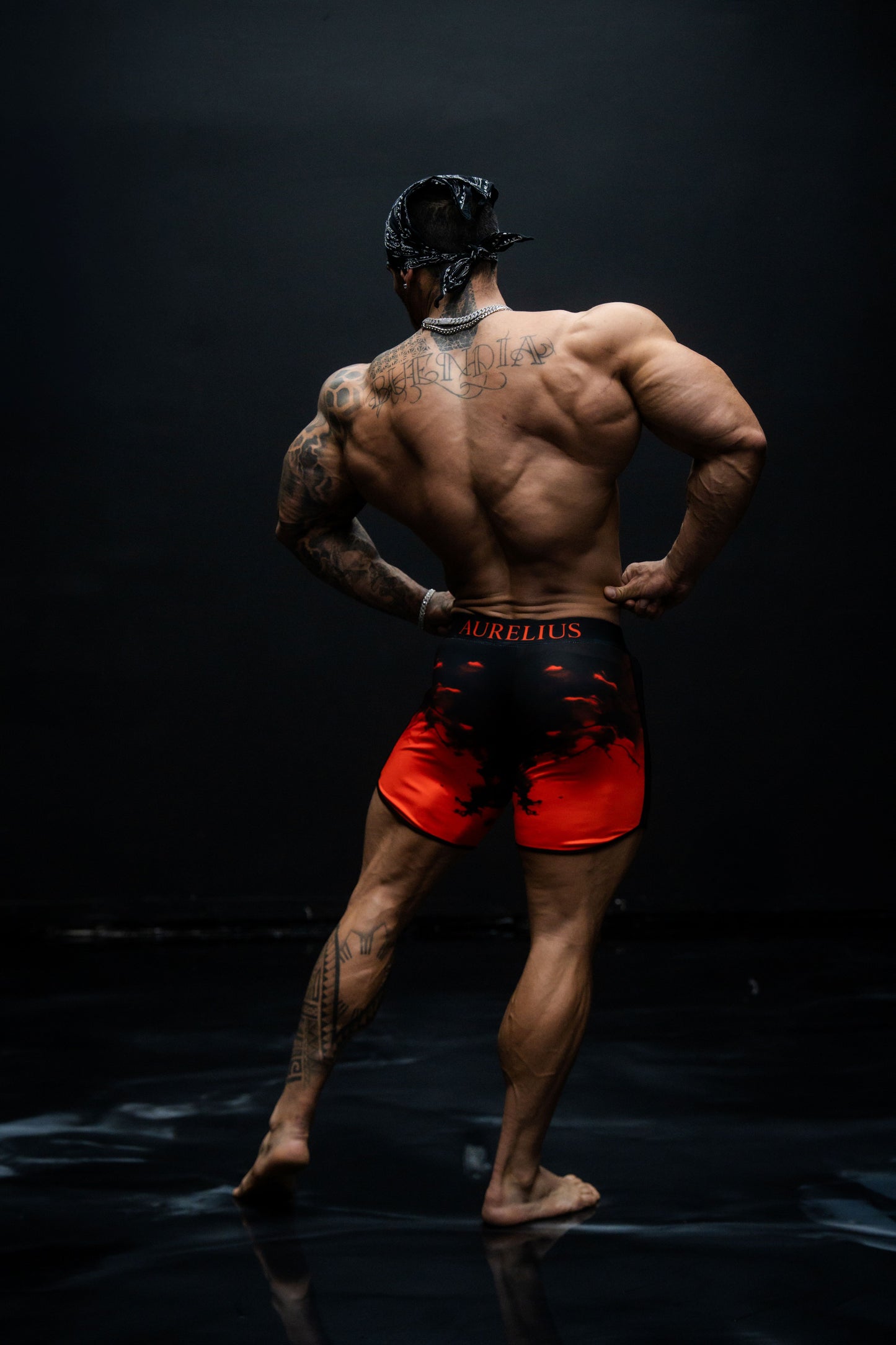 Eclipse Series - Red and Black